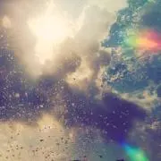 くぅの画像
