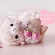 ぱかの画像