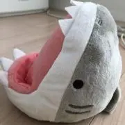 tomomamarinの画像