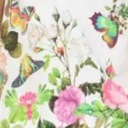 チェダー▸◂の画像