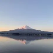 チョッピーの画像