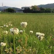 kono623の画像