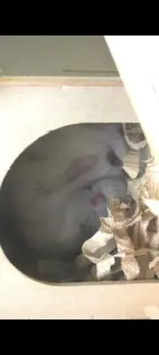 TOTO/FAHRENHEIT ファーレンハイト 紙ジャケット仕様 - メルカリ