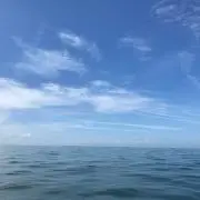 おちゃのん★の画像