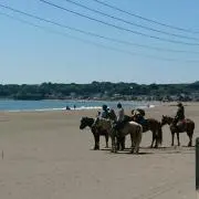 すぃすぃ→プロフ一読お願いします☆の画像