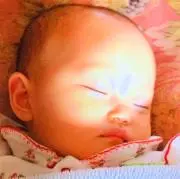 テリーの画像