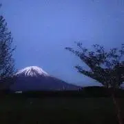 DE-HI プロフ必読！