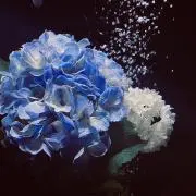 ののののののの画像