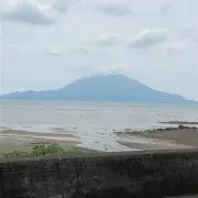 n2431の画像