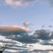 さくみち