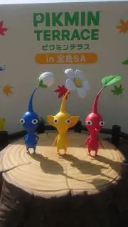 おほほ  ✨大処分実施中✨の画像