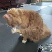 なかなかじ