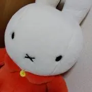 ショコラウサギ(⁠ ⁠•͈⁠ᴗ⁠•͈⁠)の画像