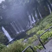 かめきち　⭐︎24時間以内発送⭐︎の画像