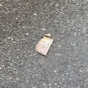 ゆの画像