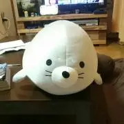 きぬ