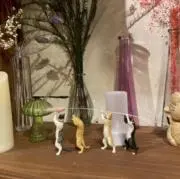 taの画像