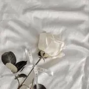 m i o ♡の画像