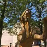 タロの画像