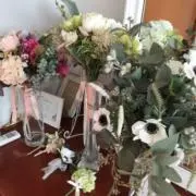 haniの画像