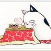こたつ猫