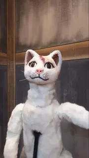 おかねこ
