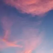神奈