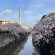 sherryの画像