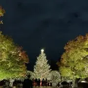 tamaの画像