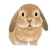 Lapin mignonの画像