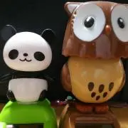 みさぽんの画像
