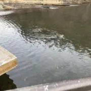 カナロアの画像
