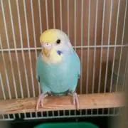 ☆rainbow☆の画像