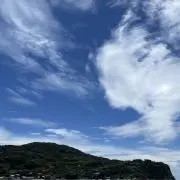ユリカ