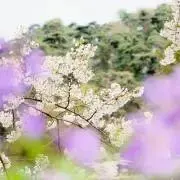 より