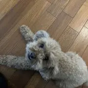 らら