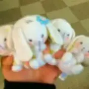 ゆりぴ【プロフ必読】の画像