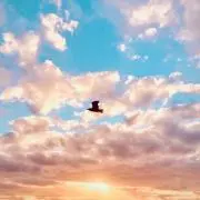 ゆらちゃんの画像