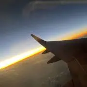 まめの画像