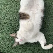 るくるく