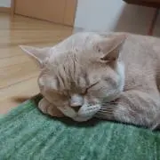 こんにちは