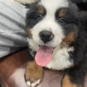 BEI