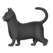 zbtnの画像