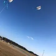 やまもとの画像