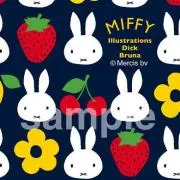 minto☆の画像