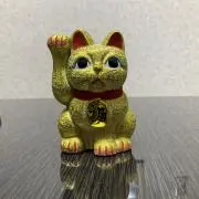 アイエムエスの画像