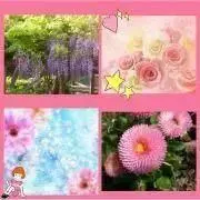り(*^^*)プロフ必読‼︎
