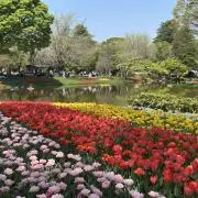 Coralの画像