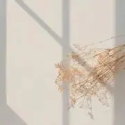 りぃの画像