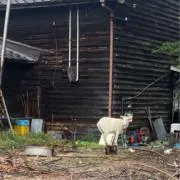 発送 3〜7日 まとめ売り値引きしますの画像